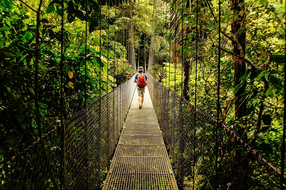 Costa Rica Playas y Bosques