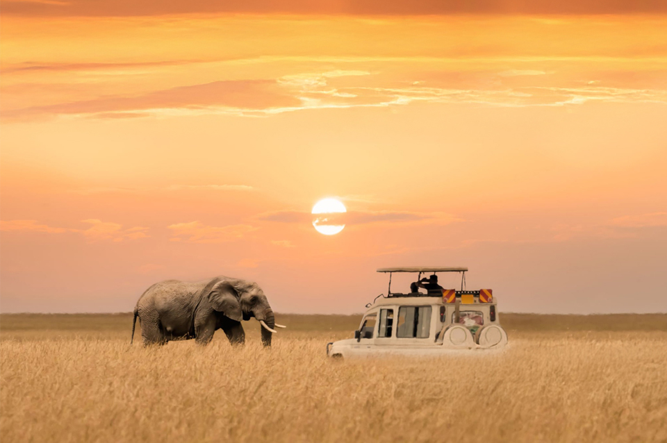 Sudáfrica Clásica y Ruta Jardín