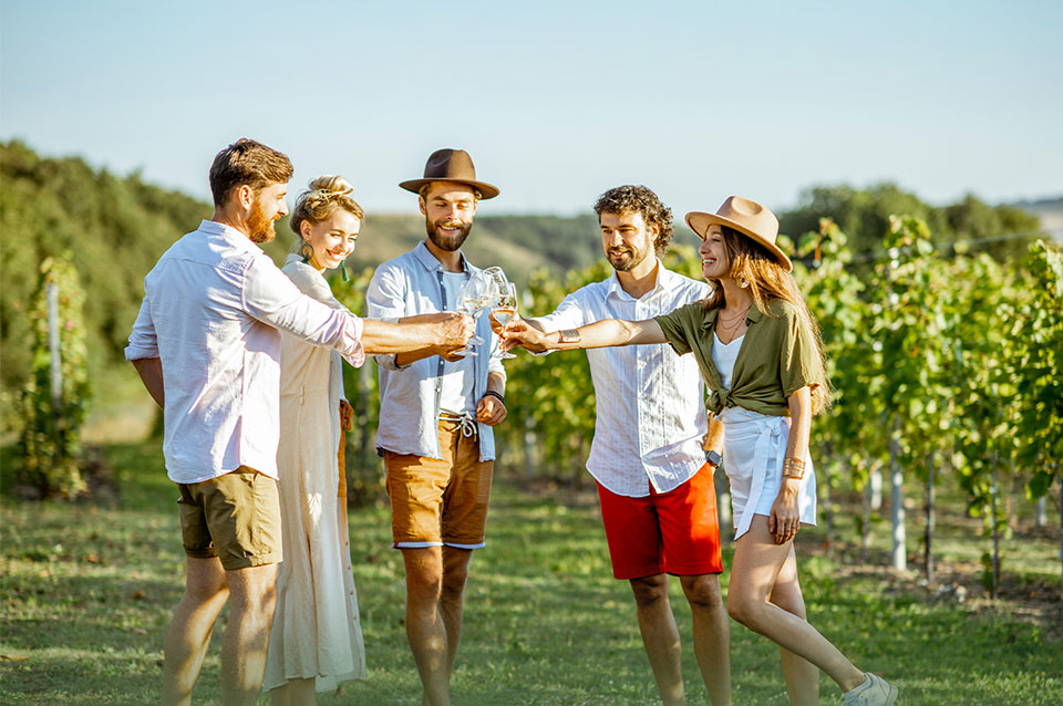 Uruguay y sus Vinos