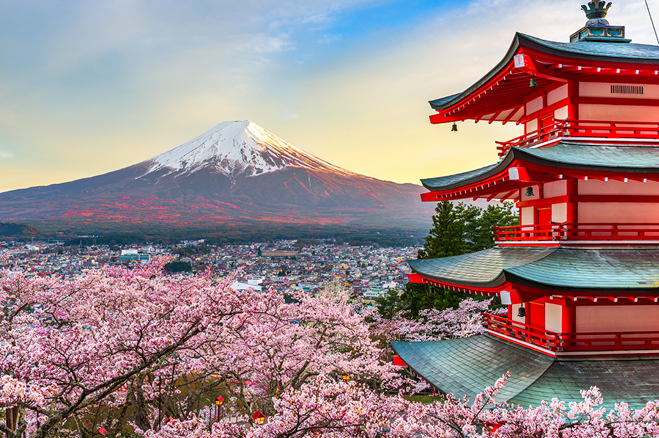 Japón a la Medida - Ichiban