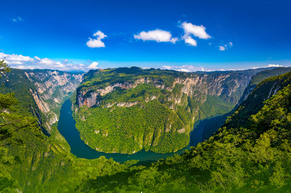 Chiapas Selva y Arqueología