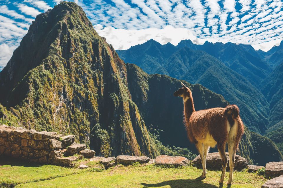 Perú y Argentina