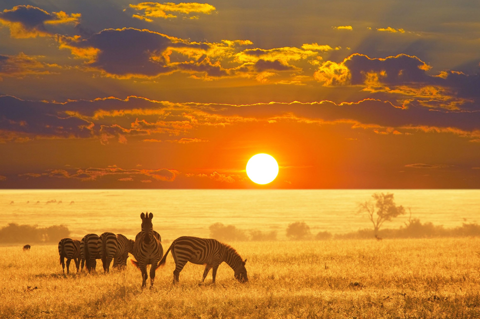 Bellezas de Namibia