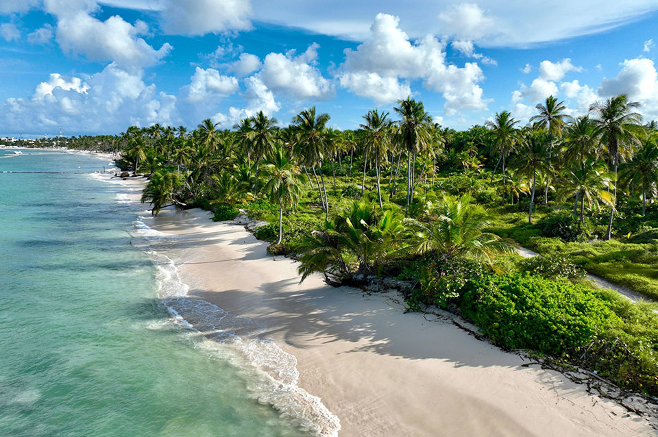 Punta Cana Full