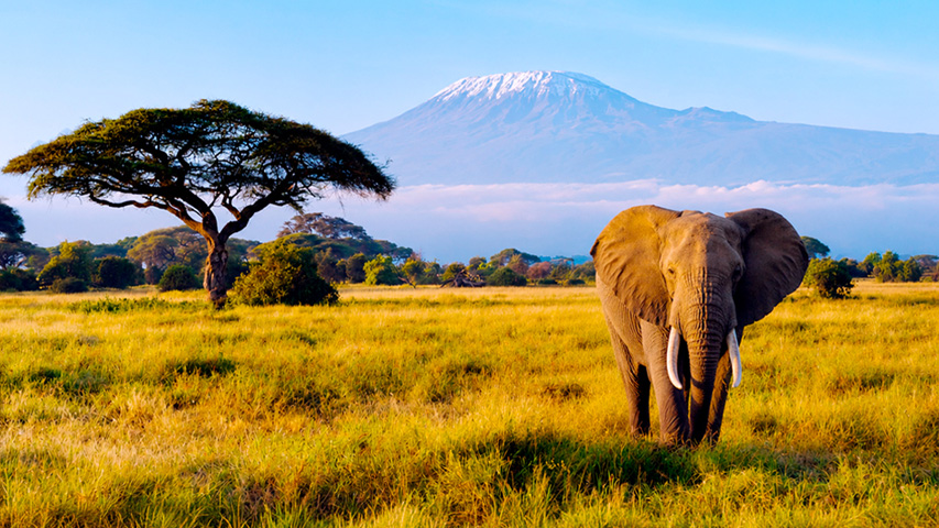 Kenia Esencial