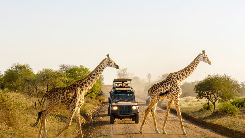 Tanzania y Kenia Inolvidables