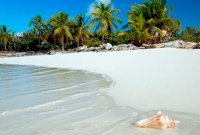 Punta Cana