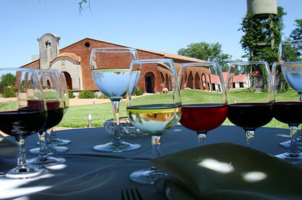 Uruguay y sus Vinos Desde Monterrey