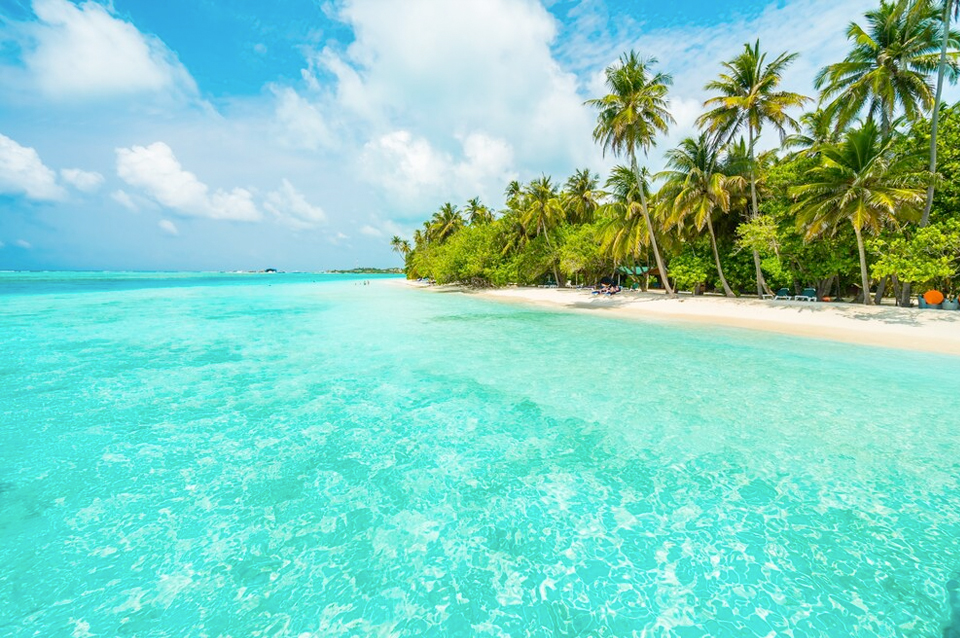 Punta Cana Full Desde Guadalajara