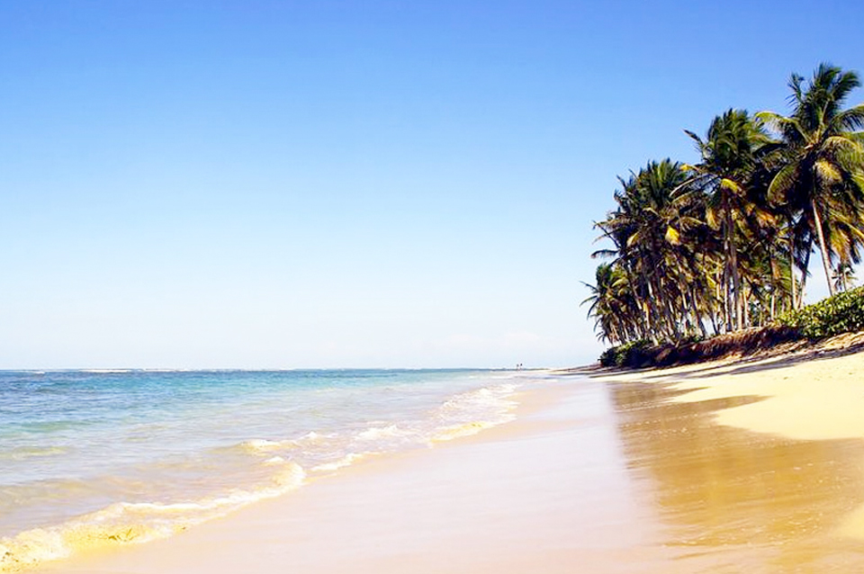 Punta Cana Top Desde Guadalajara
