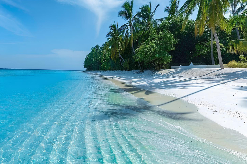 Punta Cana y La Romana Desde Guadalajara