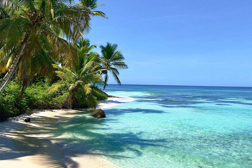Punta Cana con Panamá de Regalo Desde Monterrey
