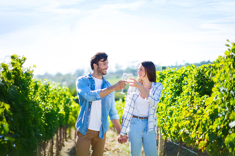 La Ruta del Vino