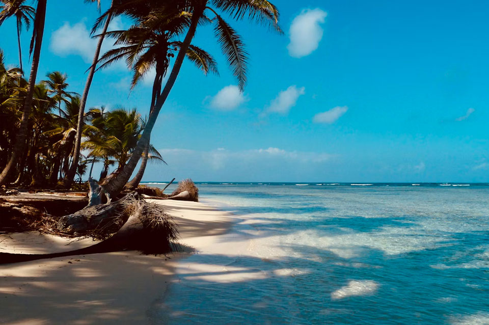 Panamá Caribe Natural Desde Guadalajara