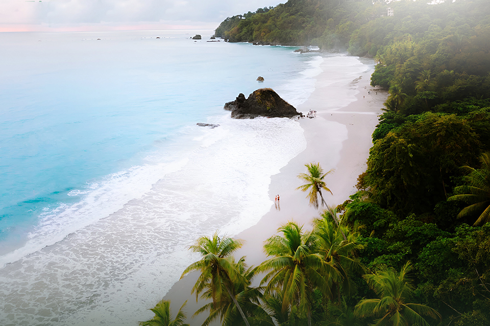 Costa Rica Playas y Bosques