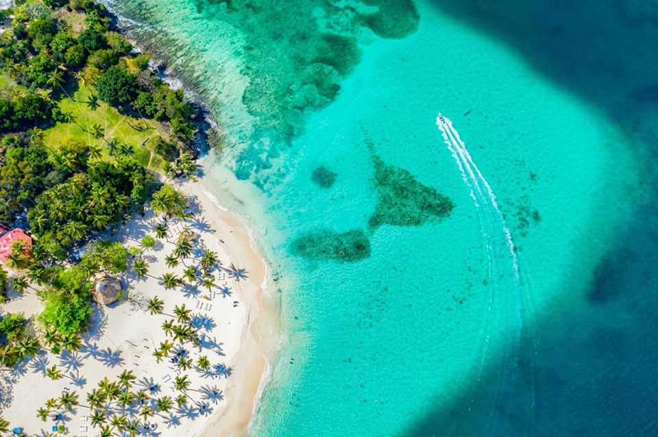 Isla Saona