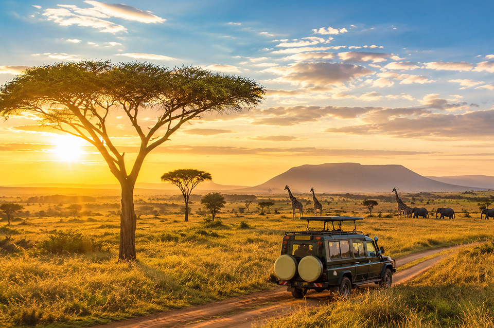 Maravillas de Sudáfrica