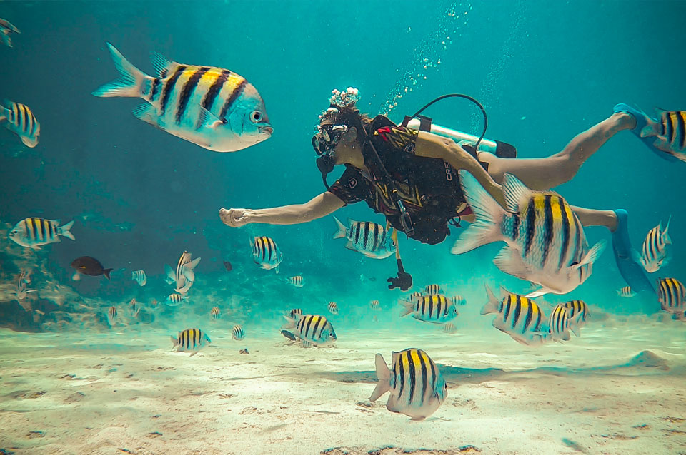 TOUR A JONNY CAY Y ACUARIO TRADICIONAL - SAN ANDRES 