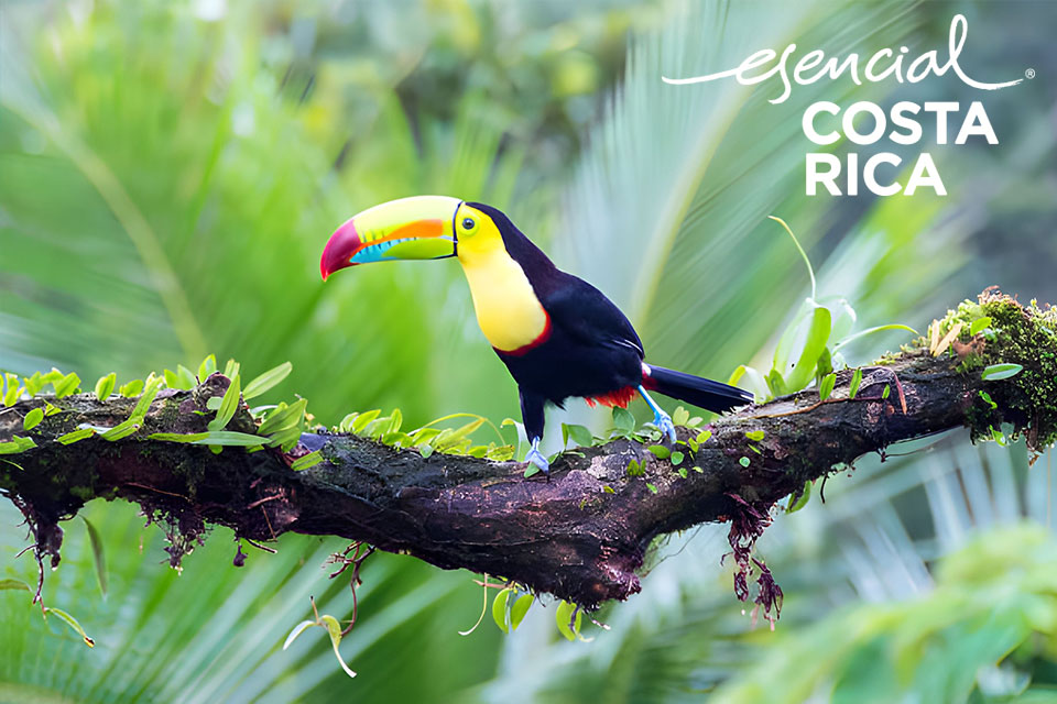 VISITAS OPCIONALES COSTA RICA