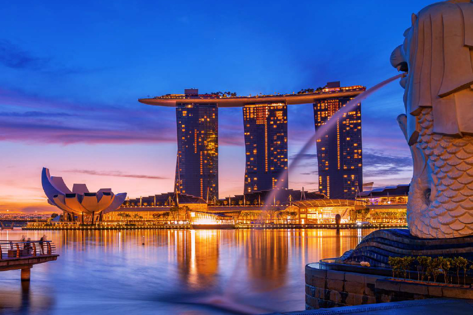 VISITAS OPCIONALES SINGAPUR